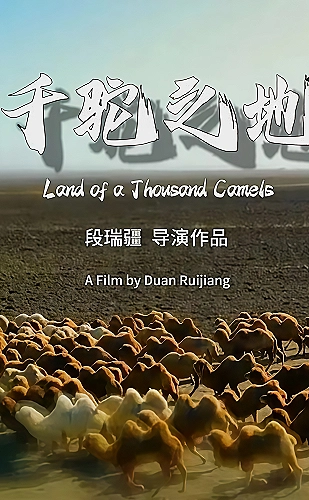 《我的好媳妇儿》dj版歌词听歌场景：安静的版本对照